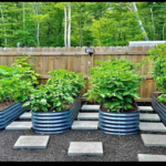 Raised Bed Gardening Ideas On a Budget