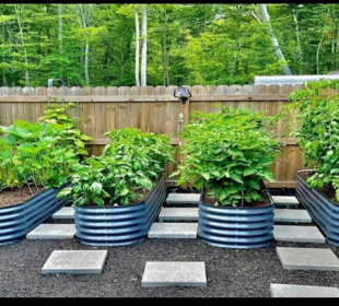 Raised Bed Gardening Ideas On a Budget