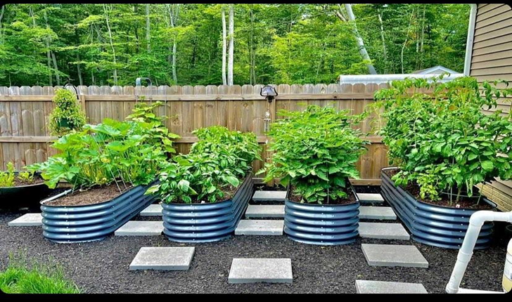 Raised Bed Gardening Ideas On a Budget